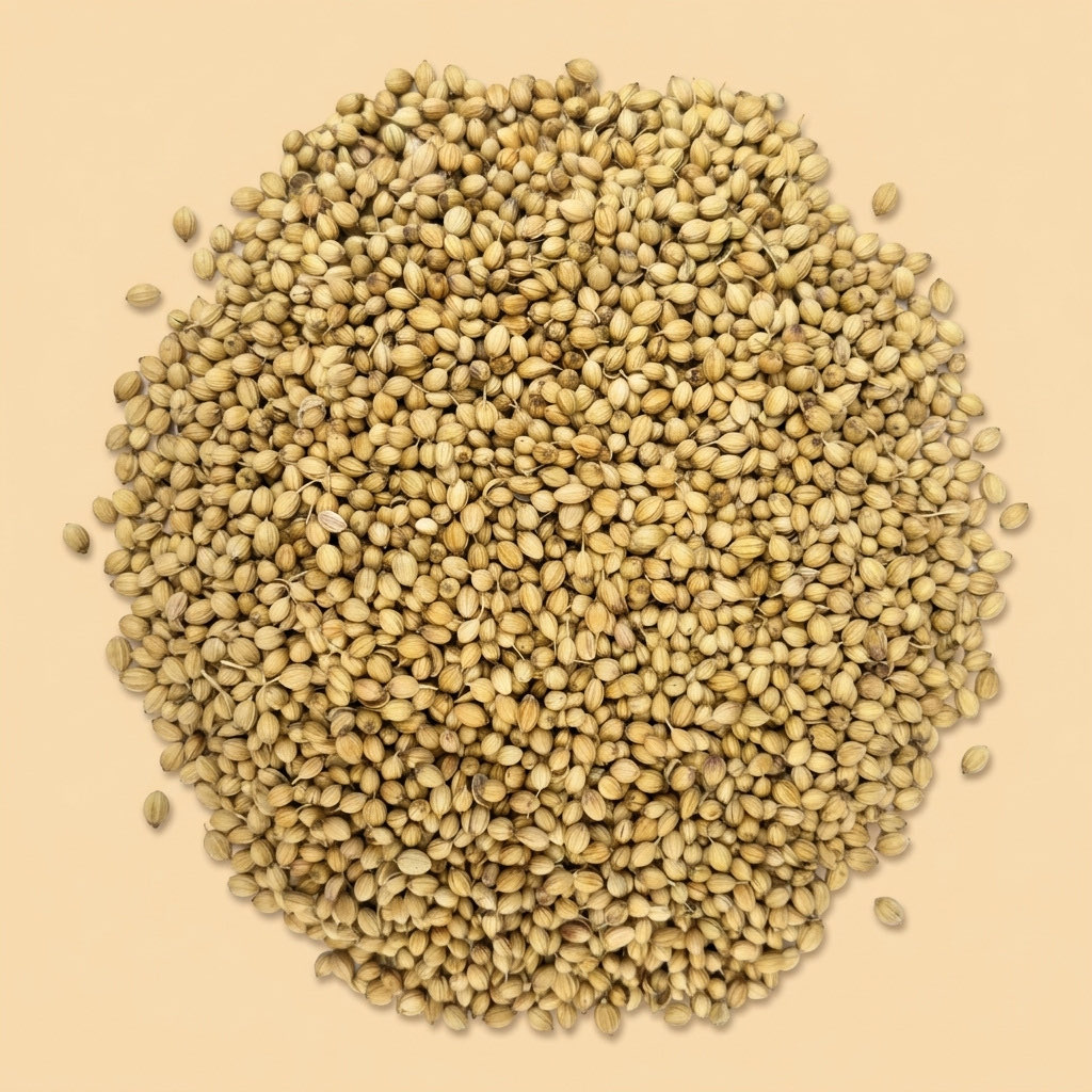 Coriander Seeds thumbnail 2